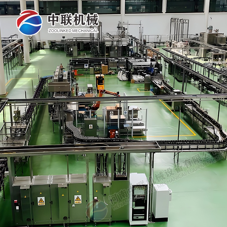 整套桑葚果醋饮料生产线设备